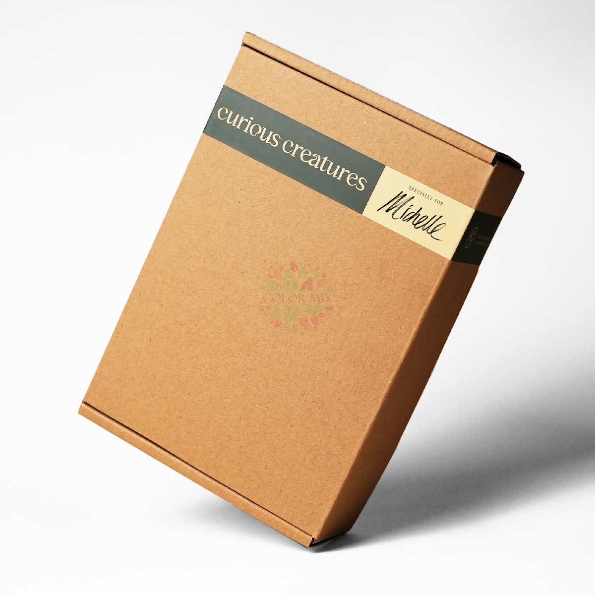 Самая продаваемая упаковка для ювелирных изделий Eco Friendly Mailer Box